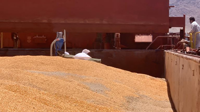 Soy Corn cargo Bulk shipping